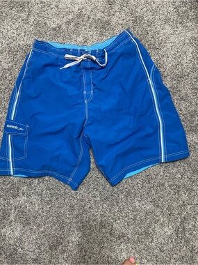 Speedo Blue Men's Swim Trunks with Contrast Trim